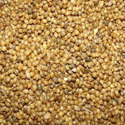 Millets Feed