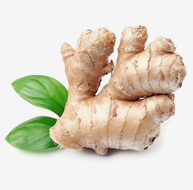 Ginger